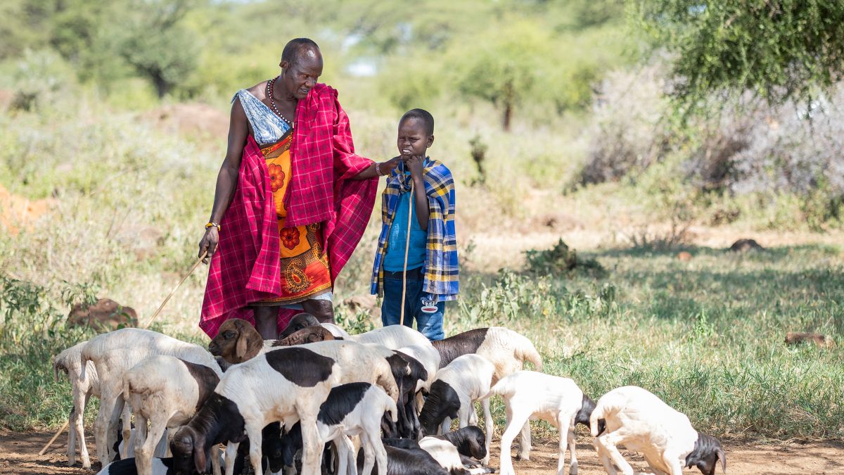 Ein Mann in Massai-Tracht legt einem Jungen die Hand auf die Schulter. Beide tragen Hirtenstöcke. Sie sind von Schafen umringt.