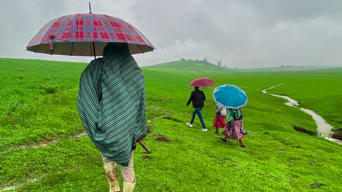 Personen mit Regenschirm gehen über eine Wiese.