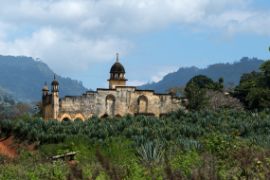 Eine alte Moschee inmitten einer Sisalplantage